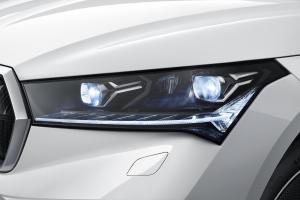 Skoda Enyaq iV 80 2020 года  (WW)
